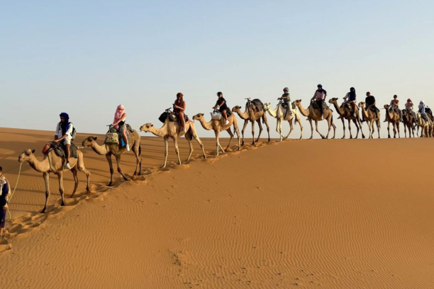 13 days Morocco itinerary from Casablanca – Morocco 13-day tour – two weeks Morocco trip – Casablanca to Marrakech tour – Casablanca to Fes itinerary – Casablanca Sahara desert tour – Casablanca to Chefchaouen tour – Casablanca imperial cities tour – Morocco cultural tour from Casablanca – Morocco desert tour 13 days – Casablanca Merzouga camel trek – Morocco luxury 13-day tour – Morocco adventure package – Morocco private guided tour – Morocco family tour 13 days – best Morocco itinerary from Casablanca – Morocco north to south tour – Casablanca to Atlas Mountains route – Morocco UNESCO sites tour – tailor-made Morocco itinerary – customizable Morocco tour – Morocco coast and desert journey – Casablanca to Essaouira tour – Morocco photography tour – Morocco historical and cultural itinerary – Morocco multi-city tour – Casablanca travel package 13 days – Morocco vacation package – Morocco authentic experiences – Morocco transportation and accommodation tour – Morocco long tour from Casablanca – Morocco personalized travel experience