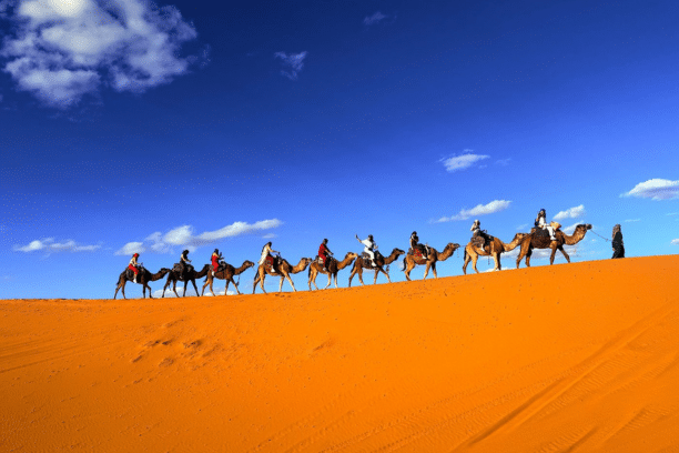 10 days Morocco tour from Casablanca – Casablanca 10-day itinerary – Morocco 10 days travel plan – 10 days Casablanca to Marrakech tour – Casablanca to Fes 10-day trip – Casablanca to Sahara Desert tour – Morocco 10-day desert adventure – Casablanca Merzouga camel trek – Morocco private 10-day tour – Morocco luxury 10-day itinerary – Casablanca cultural tour – Casablanca imperial cities tour – Casablanca Chefchaouen trip – best 10-day Morocco itinerary – Morocco sightseeing package – customizable Morocco tour – tailor-made Morocco travel plan – Morocco family tour from Casablanca – Morocco adventure tour – Casablanca Morocco holiday – Morocco guided tour 10 days – Casablanca Morocco vacation package – Morocco photography tour – Casablanca desert journey – Morocco Atlas Mountains tour – Casablanca to Ait Ben Haddou tour – Morocco authentic travel experience – Morocco private driver tour – Morocco travel package from Casablanca – Morocco multi-city itinerary – flexible Morocco tour planning – Casablanca Morocco excursion package – affordable Morocco tour 10 days – Morocco honeymoon tour 10 days