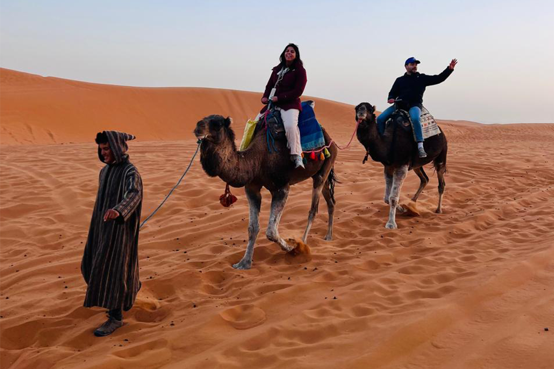 Experience a camel trek through the desert