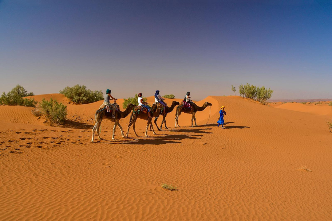 Zagora Tours