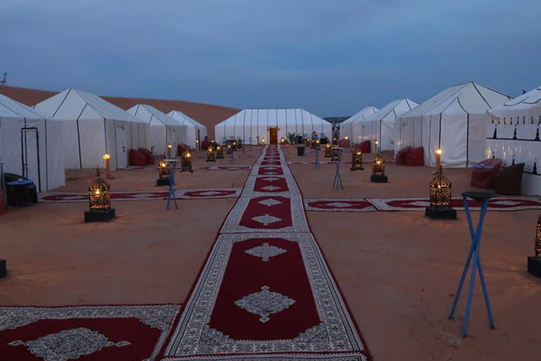 Experience a camel trek through the desert