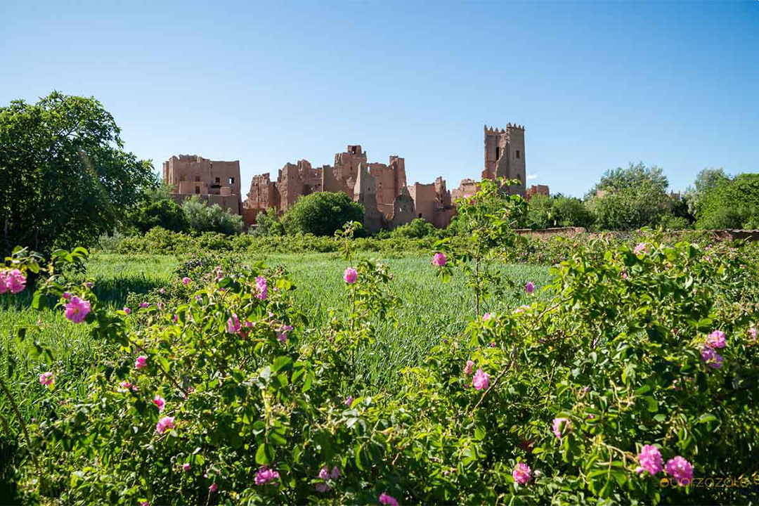 Tour from Ouarzazate