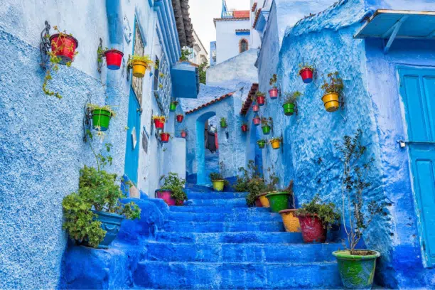 12 days Morocco itinerary from Casablanca – Morocco 12-day tour – Casablanca to Marrakech tour – Casablanca to Fes itinerary – Casablanca Sahara desert tour – Casablanca to Chefchaouen trip – Morocco imperial cities tour – Morocco cultural tour 12 days – Casablanca private guided tour – Morocco family tour from Casablanca – Morocco luxury 12-day tour – best Morocco itinerary 12 days – Morocco coast and desert journey – Casablanca Merzouga camel trek – Casablanca to Atlas Mountains tour – Morocco UNESCO sites tour – Casablanca to Essaouira itinerary – tailor-made Morocco tour – customizable Morocco 12-day package – Morocco adventure tour – Morocco historical and cultural tour – Morocco multi-city itinerary – Casablanca Morocco vacation package – Morocco photography tour – Morocco authentic travel experience – Morocco transportation and accommodation package – long Morocco tour from Casablanca – Morocco personalized itinerary