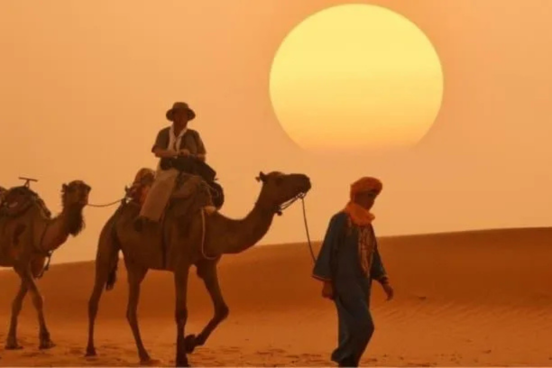 2 Days Morocco Tour from Fes to Marrakech - 2 Day Tour Fes to Marrakech - Fes to Marrakech 2 Days Tour - Morocco 2 Day Trip Fes to Marrakech - Private 2 Days Tour Fes to Marrakech - Fes Marrakech Short Tour 2 Days - 2 Days Fes to Marrakech Itinerary - Fes to Marrakech Express Tour 2 Days - Fes to Marrakech Luxury Tour 2 Days - Best 2 Days Morocco Tour Fes to Marrakech - Affordable 2 Days Fes to Marrakech Tour - Fes to Marrakech Highlights Tour 2 Days - Fes to Marrakech Adventure 2 Days - Short 2 Days Morocco Trip Fes to Marrakech - Fes to Marrakech Guided Tour 2 Days - 2 Days Morocco Journey Fes to Marrakech - Fes to Marrakech Mini Tour 2 Days - Morocco Quick Tour 2 Days Fes to Marrakech