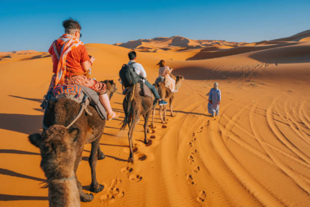 3 Days Morocco Tour from Fes to Marrakech - 3 Day Tour Fes to Marrakech - Fes to Marrakech Desert Tour 3 Days - 3 Days Fes to Merzouga to Marrakech - Fes to Marrakech Sahara Tour 3 Days - Morocco 3 Day Itinerary Fes to Marrakech - Fes Desert Tour ending in Marrakech - Private 3 Days Tour from Fes to Marrakech - Luxury 3 Day Sahara Trip Fes to Marrakech - Top Rated 3 Day Fes to Marrakech Tour - Best 3 Days Morocco Trip from Fes to Marrakech - Fes to Erg Chebbi to Marrakech 3 Days - Affordable 3 Days Fes to Marrakech Tour - Fes to South Morocco Tour 3 Days - Fes to Marrakech Camel Trek 3 Days - 3 Days Desert Journey Fes to Marrakech - Sahara Desert Tour Fes to Marrakech 3 Days - Fes to Marrakech Itinerary 3 Days - Fes to Marrakech Morocco Desert Adventure 3 Day