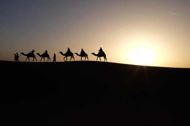 7 days Morocco tour from Casablanca – Morocco 7-day itinerary – Casablanca 7 days travel plan – 7 days Casablanca to Marrakech tour – Casablanca to Fes 7-day trip – Casablanca to Sahara Desert tour – Morocco 7-day desert adventure – Casablanca Merzouga camel trek – Morocco private 7-day tour – Morocco luxury 7-day itinerary – Casablanca cultural tour – Casablanca imperial cities tour – Casablanca Chefchaouen trip – best 7-day Morocco itinerary – Morocco sightseeing package – customizable Morocco tour – tailor-made Morocco travel plan – Morocco family tour from Casablanca – Morocco adventure tour – Casablanca Morocco holiday – Morocco guided tour 7 days – Casablanca Morocco vacation package – Morocco photography tour – Casablanca desert journey – Morocco Atlas Mountains tour – Casablanca to Ait Ben Haddou tour – Morocco authentic travel experience – Morocco private driver tour – Morocco travel package from Casablanca – Morocco multi-city itinerary – flexible Morocco tour planning – affordable Morocco tour 7 days – Morocco honeymoon tour 7 days