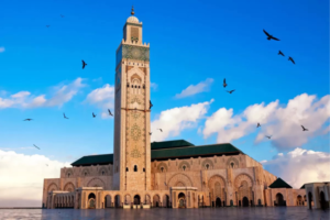 10 Days Tour from Casablanca - Casablanca 10-Day Tour - 10-Day Morocco Tour from Casablanca - Casablanca to Morocco 10-Day Trip - 10 Days Morocco Itinerary from Casablanca - Private 10-Day Tour from Casablanca - Casablanca 10-Day Guided Tour - 10-Day Casablanca Adventure Tour - Morocco 10-Day Excursion from Casablanca - Casablanca 10-Day Cultural Tour - Casablanca to Marrakech 10-Day Tour - Casablanca to Fes 10-Day Tour - Casablanca to Sahara 10-Day Tour - 10-Day Luxury Tour from Casablanca - Casablanca 10-Day Multi-City Tour - 10-Day Morocco Highlights Tour from Casablanca - Casablanca to Chefchaouen 10-Day Tour - Casablanca 10-Day Family Tour - 10-Day Morocco Private Tour from Casablanca - Casablanca 10-Day Sightseeing Tour