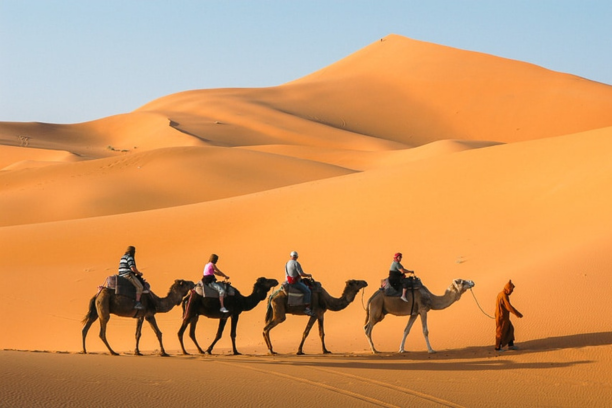 2 Days Tour From Ouarzazate To Merzouga – 2 day desert tour from Ouarzazate to Fes – 2 days desert tour Ouarzazate to Fes – Ouarzazate to Fes 2 day desert tour – 2 day Sahara desert tour from Ouarzazate to Fes – Ouarzazate Fes desert tour 2 days – 2 day Morocco desert tour from Ouarzazate – Ouarzazate to Fes Sahara tour 2 days – 2 day private desert tour Ouarzazate to Fes – Ouarzazate Fes luxury desert tour 2 days – 2 day guided desert tour from Ouarzazate to Fes – Ouarzazate to Fes Erg Chebbi tour 2 days – 2 day Merzouga desert tour from Ouarzazate to Fes – Ouarzazate to Fes camel trek tour 2 days – 2 day Sahara adventure from Ouarzazate to Fes – Ouarzazate to Fes desert travel package 2 days – 2 day Morocco itinerary Ouarzazate to Fes – Ouarzazate Fes off-road desert tour 2 days – 2 day custom desert tour from Ouarzazate to Fes – Ouarzazate to Fes overnight desert tour – 2 day desert camp tour Ouarzazate to Fes – Ouarzazate Fes Sahara experience 2 days – 2 day small group desert tour Ouarzazate to Fes – Ouarzazate to Fes sand dunes tour 2 days – 2 day Morocco Sahara journey from Ouarzazate to Fes – Ouarzazate Fes desert road trip 2 days – 2 day authentic desert tour from Ouarzazate to Fes – Ouarzazate to Fes nomad desert tour 2 days – 2 day desert excursion Ouarzazate to Fes