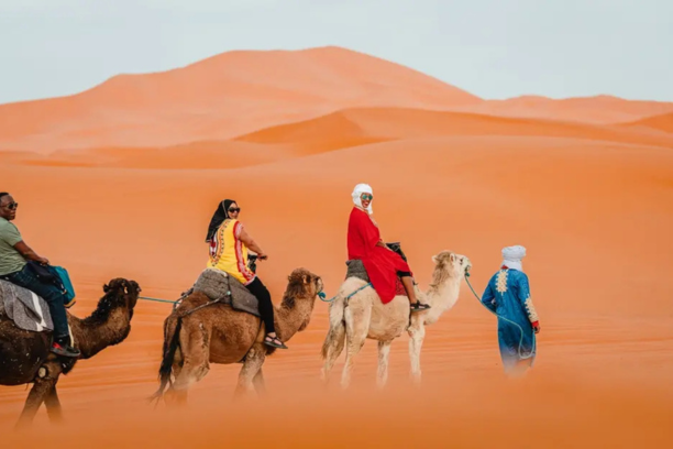 4 Day Tour from Tangier - 4 Days Tour from Tangier - 4 Day Trip from Tangier - 4 Days Trip from Tangier - 4 Day Itinerary from Tangier - 4 Days Itinerary from Tangier - 4 Day Morocco Tour from Tangier - 4 Days Morocco Tour from Tangier - Tangier 4 Day Tour - Tangier 4 Days Tour - Tangier 4 Day Trip - Tangier 4 Days Trip - Tangier 4 Day Itinerary - Tangier 4 Days Itinerary - Tangier to Fes 4 Day Tour - Tangier to Fes 4 Days Tour - Tangier to Chefchaouen 4 Day Tour - Tangier to Chefchaouen 4 Days Tour - 4 Day Tour Tangier to Fes - 4 Days Tour Tangier to Fes - 4 Day Tour Tangier to Chefchaouen - 4 Days Tour Tangier to Chefchaouen - 4 Day Northern Morocco Tour from Tangier - 4 Days Northern Morocco Tour from Tangier - 4 Day Private Tour from Tangier - 4 Days Private Tour from Tangier - 4 Day Tangier Private Tour - 4 Days Tangier Private Tour - 4 Day Tangier Travel Package - 4 Days Tangier Travel Package - 4 Day Tangier Vacation Package - 4 Days Tangier Vacation Package - 4 Day Tangier Guided Tour - 4 Days Tangier Guided Tour - 4 Day Tangier Excursion - 4 Days Tangier Excursion - 4 Day Road Trip from Tangier - 4 Days Road Trip from Tangier - 4 Day Tangier to Fes Itinerary - 4 Days Tangier to Fes Itinerary - 4 Day Tangier to Chefchaouen Itinerary - 4 Days Tangier to Chefchaouen Itinerary - 4 Day Morocco Travel from Tangier - 4 Days Morocco Travel from Tangier - 4 Day Trip Tangier to Fes - 4 Days Trip Tangier to Fes - 4 Day Trip Tangier to Chefchaouen - 4 Days Trip Tangier to Chefchaouen - 4 Day Adventure from Tangier - 4 Days Adventure from Tangier - 4 Day Cultural Tour from Tangier - 4 Days Cultural Tour from Tangier