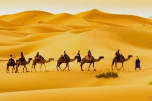 7 Day Morocco Tour - 7 Days Morocco Tour - Morocco Tour 7 Days - Morocco Tour 7 Day - 7 Days Tour in Morocco - 7 Day Tour in Morocco - 7 Days Morocco Itinerary - 7 Day Morocco Itinerary - Private 7 Day Morocco Tour - Guided 7 Day Morocco Tour - Luxury 7 Day Morocco Tour - Tailor Made 7 Day Morocco Tour - Morocco Desert Tour 7 Days - Morocco Sahara Tour 7 Days - 7 Days Imperial Cities Morocco Tour - Grand Morocco Tour 7 Days - Family Friendly 7 Day Morocco Tour - Custom 7 Day Morocco Tour - Morocco Travel Tour 7 Days - 7 Days Morocco Adventure Tour