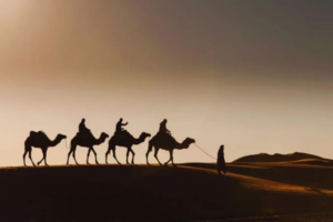 9 Days Morocco Itinerary from Casablanca - 9 Day Morocco Itinerary from Casablanca - Morocco Itinerary 9 Days from Casablanca - Morocco Itinerary 9 Day from Casablanca - 9 Days Morocco Tour from Casablanca - 9 Day Morocco Tour from Casablanca - Casablanca Morocco Tour 9 Days - Casablanca 9 Days Morocco Tour - 9 Days Casablanca Desert Tour - Casablanca Sahara Tour 9 Days - Private 9 Days Morocco Itinerary from Casablanca - Guided 9 Days Morocco Itinerary from Casablanca - Luxury 9 Days Morocco Itinerary from Casablanca - Tailor Made 9 Days Morocco Itinerary from Casablanca - Casablanca to Marrakech 9 Days Tour - Casablanca to Fes 9 Days Tour - 9 Days Imperial Cities Morocco Tour from Casablanca - Casablanca Grand Morocco Tour 9 Days - Family Friendly 9 Days Morocco Tour from Casablanca - Casablanca Custom 9 Days Morocco Tour