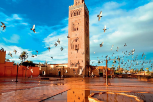 Day Trips from Marrakech - Marrakech Day Trips - Day Trips Marrakech - Marrakech Private Day Trips - Guided Day Trips from Marrakech - Best Day Trips from Marrakech - Marrakech Day Excursions - Marrakech Full-Day Trips - Marrakech Half-Day Trips - Marrakech Day Tours - Private Marrakech Day Tours - Marrakech Cultural Day Trips - Marrakech Desert Day Trips - Marrakech Atlas Mountains Day Trips - Marrakech Excursion Tours