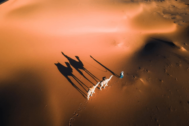 Morocco Rich History - Morocco Historical Sites - Morocco History and Culture - Morocco Heritage - Morocco Ancient History - Morocco Historical Attractions - Morocco Cultural History - Morocco Historical Travel - Morocco Historical Tours - Morocco History Guide - Morocco Historic Destinations - Morocco History Exploration - Morocco History Itinerary - Morocco Heritage Tours - Morocco Historical Experiences - Morocco History and Traditions - Morocco Historical Landmarks - Morocco History Travel Guide - Morocco Cultural Heritage - Morocco Historic Places