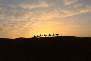 Can I Travel to Morocco from USA - Can I Travel to Morocco from USA 2026 - Can I Travel to Morocco from USA for Tourism - Can I Travel to Morocco from USA for First Time Visitors - Can I Travel to Morocco from USA for Couples - Can I Travel to Morocco from USA for Families - Can I Travel to Morocco from USA for Solo Travelers - Can I Travel to Morocco from USA for Luxury Travel - Can I Travel to Morocco from USA for Budget Travel - Can I Travel to Morocco from USA Requirements - Can I Travel to Morocco from USA Visa - Can I Travel to Morocco from USA COVID-19 Rules - Can I Travel to Morocco from USA Flights - Can I Travel to Morocco from USA Travel Tips - Can I Travel to Morocco from USA Travel Restrictions - Can I Travel to Morocco from USA Travel Advice - Can I Travel to Morocco from USA Safety - Can I Travel to Morocco from USA Guided Tours - Can I Travel to Morocco from USA Multi-Day Trips - Can I Travel to Morocco from USA Marrakech - Can I Travel to Morocco from USA Casablanca - Can I Travel to Morocco from USA Fes