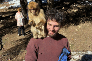 Honeymoon in Morocco - Honeymoon in Morocco 2026 - Honeymoon in Morocco for Couples - Honeymoon in Morocco Luxury Travel - Honeymoon in Morocco Adventure Trips - Honeymoon in Morocco Desert Tours - Honeymoon in Morocco Marrakech - Honeymoon in Morocco Fes - Honeymoon in Morocco Casablanca - Honeymoon in Morocco Chefchaouen - Honeymoon in Morocco Beach Destinations - Honeymoon in Morocco Romantic Getaways - Honeymoon in Morocco Private Tours - Honeymoon in Morocco Multi-Day Trips - Honeymoon in Morocco Cultural Experiences - Honeymoon in Morocco Sightseeing - Honeymoon in Morocco Palaces and Gardens - Honeymoon in Morocco Romantic Experiences - Honeymoon in Morocco Food and Culinary Tours - Honeymoon in Morocco Photography Spots - Honeymoon in Morocco Markets and Souks - Honeymoon in Morocco Day Trips - Honeymoon in Morocco Excursions