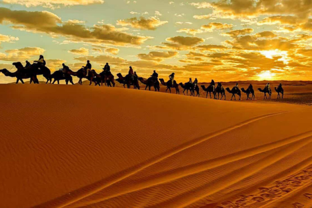 Morocco Tour Gallery - Morocco Tour Gallery 2026 - Morocco Tour Gallery for First Time Visitors - Morocco Tour Gallery for Couples - Morocco Tour Gallery for Families - Morocco Tour Gallery for Solo Travelers - Morocco Tour Gallery Luxury Travel - Morocco Tour Gallery Private Tours - Morocco Tour Gallery Guided Tours - Morocco Tour Gallery Marrakech - Morocco Tour Gallery Fes - Morocco Tour Gallery Casablanca - Morocco Tour Gallery Chefchaouen - Morocco Tour Gallery Desert Tours - Morocco Tour Gallery Sahara Desert - Morocco Tour Gallery Adventure Trips - Morocco Tour Gallery Cultural Experiences - Morocco Tour Gallery Sightseeing - Morocco Tour Gallery Historical Sites - Morocco Tour Gallery Palaces and Gardens - Morocco Tour Gallery Markets and Souks - Morocco Tour Gallery Multi-Day Trips - Morocco Tour Gallery Day Trips - Morocco Tour Gallery Food and Culinary Experiences - Morocco Tour Gallery Beach Destinations - Morocco Tour Gallery Photography Spots