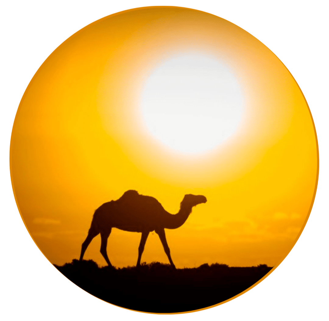 Morocco Tour Gallery - Morocco Tour Gallery 2026 - Morocco Tour Gallery for First Time Visitors - Morocco Tour Gallery for Couples - Morocco Tour Gallery for Families - Morocco Tour Gallery for Solo Travelers - Morocco Tour Gallery Luxury Travel - Morocco Tour Gallery Private Tours - Morocco Tour Gallery Guided Tours - Morocco Tour Gallery Marrakech - Morocco Tour Gallery Fes - Morocco Tour Gallery Casablanca - Morocco Tour Gallery Chefchaouen - Morocco Tour Gallery Desert Tours - Morocco Tour Gallery Sahara Desert - Morocco Tour Gallery Adventure Trips - Morocco Tour Gallery Cultural Experiences - Morocco Tour Gallery Sightseeing - Morocco Tour Gallery Historical Sites - Morocco Tour Gallery Palaces and Gardens - Morocco Tour Gallery Markets and Souks - Morocco Tour Gallery Multi-Day Trips - Morocco Tour Gallery Day Trips - Morocco Tour Gallery Food and Culinary Experiences - Morocco Tour Gallery Beach Destinations - Morocco Tour Gallery Photography Spots