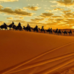 Is It Safe to Travel to Morocco - Things to Do in Casablanca Moroccan - Casablanca Morocco Vacation - Casablanca Morocco Trip - Travel to Casablanca Morocco - Casablanca Tours Morocco - Luxury Morocco Tours - Sahara Desert Tours Morocco - Morocco Travel Packages - Morocco Tours - Moroccan Tours - Morocco Holiday Packages - Planning Your Moroccan Tour - Morocco Vacation Packages - Morocco Adventure Packages - Morocco Private Tours - Morocco Group Tours - Morocco Cultural Tours - Morocco Family Trips - Morocco Beach Holidays - Morocco Multi-Day Tours - Morocco City Tours - Morocco Desert Excursions - Morocco Marrakech Tours - Morocco Fes Tours - Morocco Chefchaouen Tours - Morocco Atlas Mountains Tours - Morocco Eco Tours - Morocco Honeymoon Packages - Morocco Travel Deals - Morocco Guided Tours - Morocco Exploration Packages - Morocco Luxury Holidays - Morocco Private Packages - Morocco Adventure Tours - Morocco Family Packages - Morocco Cultural Experiences - Morocco Desert Tours - Morocco City Breaks - Morocco Beach Packages - Morocco Travel Itinerary - Morocco Exclusive Tours - Morocco Top Packages - Morocco Special Deals - Morocco Group Adventures - Morocco Vacation Packages - Morocco Tour Planner - Morocco Highlights Tour - Morocco Travel Planning - Morocco Ultimate Tours - Morocco Signature Packages - Morocco Premier Tours - Morocco Experience Packages - Morocco Full Itinerary - Morocco Premium Tours - Morocco Guided Itineraries - Morocco Highlights Trip - Morocco Explorer Packages - Morocco Tailor-Made Tours - Morocco Best Packages