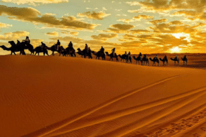 Is It Safe to Travel to Morocco - Things to Do in Casablanca Moroccan - Casablanca Morocco Vacation - Casablanca Morocco Trip - Travel to Casablanca Morocco - Casablanca Tours Morocco - Luxury Morocco Tours - Sahara Desert Tours Morocco - Morocco Travel Packages - Morocco Tours - Moroccan Tours - Morocco Holiday Packages - Planning Your Moroccan Tour - Morocco Vacation Packages - Morocco Adventure Packages - Morocco Private Tours - Morocco Group Tours - Morocco Cultural Tours - Morocco Family Trips - Morocco Beach Holidays - Morocco Multi-Day Tours - Morocco City Tours - Morocco Desert Excursions - Morocco Marrakech Tours - Morocco Fes Tours - Morocco Chefchaouen Tours - Morocco Atlas Mountains Tours - Morocco Eco Tours - Morocco Honeymoon Packages - Morocco Travel Deals - Morocco Guided Tours - Morocco Exploration Packages - Morocco Luxury Holidays - Morocco Private Packages - Morocco Adventure Tours - Morocco Family Packages - Morocco Cultural Experiences - Morocco Desert Tours - Morocco City Breaks - Morocco Beach Packages - Morocco Travel Itinerary - Morocco Exclusive Tours - Morocco Top Packages - Morocco Special Deals - Morocco Group Adventures - Morocco Vacation Packages - Morocco Tour Planner - Morocco Highlights Tour - Morocco Travel Planning - Morocco Ultimate Tours - Morocco Signature Packages - Morocco Premier Tours - Morocco Experience Packages - Morocco Full Itinerary - Morocco Premium Tours - Morocco Guided Itineraries - Morocco Highlights Trip - Morocco Explorer Packages - Morocco Tailor-Made Tours - Morocco Best Packages