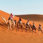 Morocco tour packages from USA - USA to Morocco tour packages - Morocco travel packages from USA - Morocco vacation packages for Americans - Morocco tours from USA - Morocco holiday packages from USA - Morocco trip packages from USA - Morocco all inclusive tours from USA - Morocco private tours from USA - Morocco luxury tours from USA - Morocco family tour packages from USA - Morocco desert tours from USA - Morocco Sahara tours from USA - Morocco guided tours from USA - Morocco group tours from USA - Morocco custom travel packages USA - Morocco multi-day tours from USA - Morocco travel deals from USA - Morocco cultural tours from USA - Morocco adventure tours from USA - Morocco travel itinerary packages USA - Morocco tours for American travelers - Morocco holiday trips USA to Morocco - Morocco travel experiences from USA - Morocco sightseeing tours from USA - Morocco tailor-made tours Morocco - Morocco city and desert tours USA - Morocco best tour packages from USA - Morocco travel agency packages USA